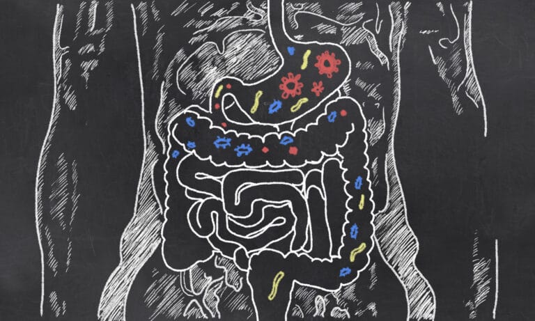 Chalkboard diagram of digestive system with bacteria